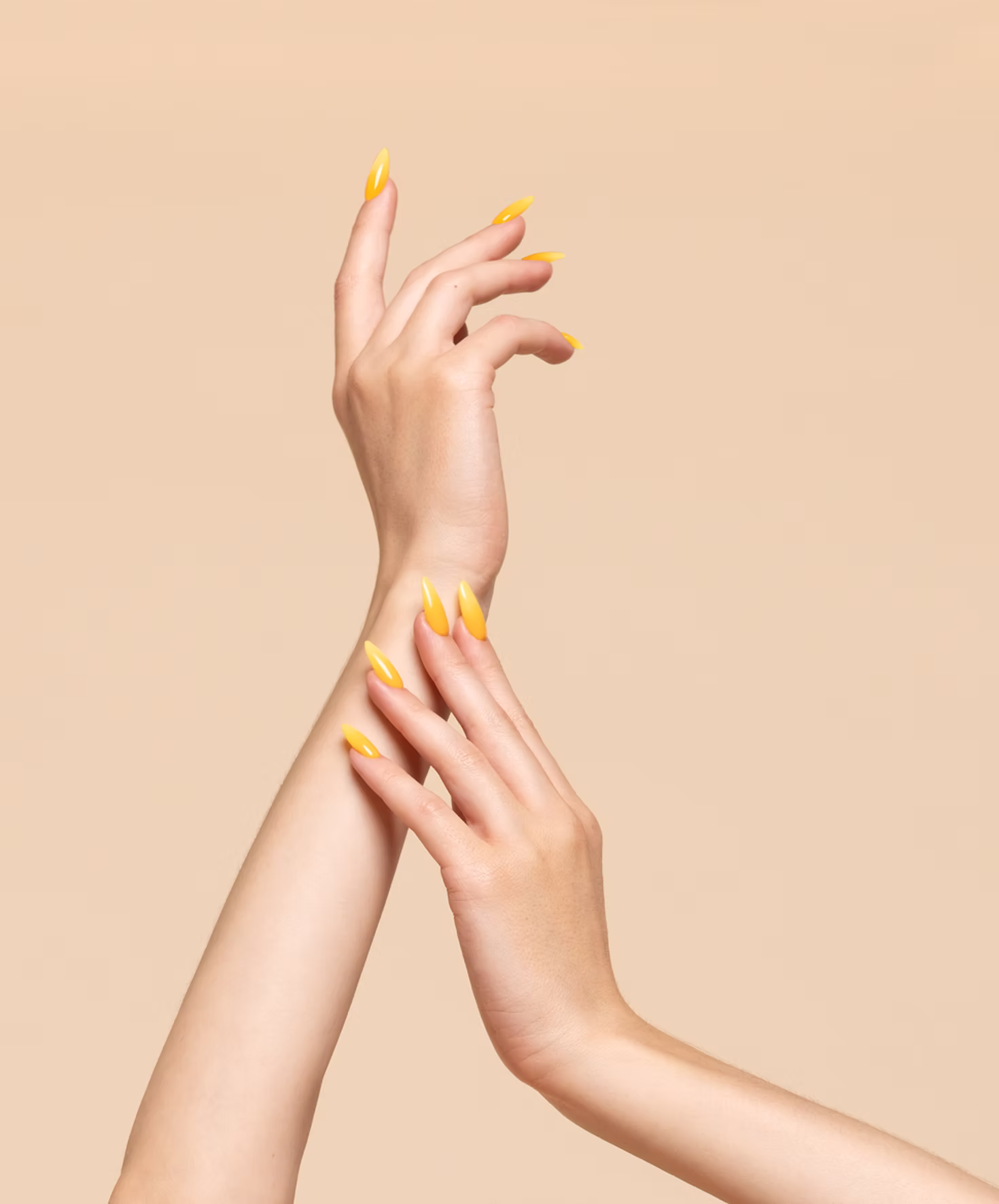 Lush Nail Bar salon interior showcasing luxury nail care services